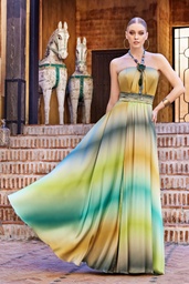 SP LONG DRESS WITH BLURRED COLOUR